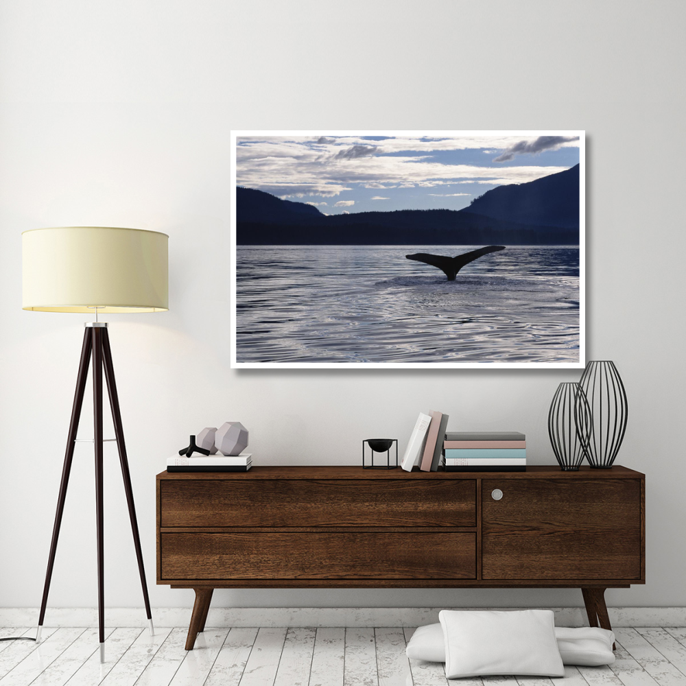 Humpback Whale tail at sunset, Southeast Alaska-Paper Art-62&quotx42"