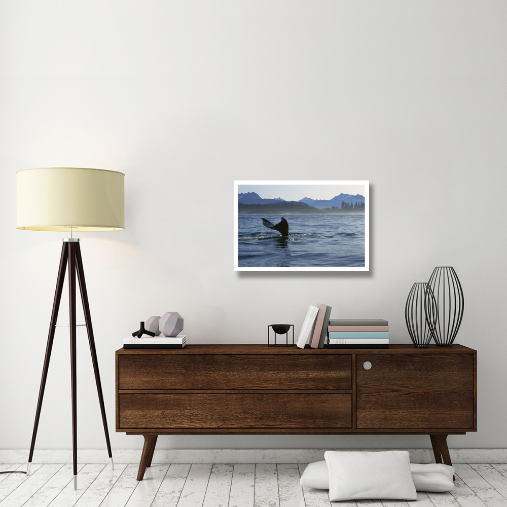 Gray Whale tail, Clayoquot Sound, Vancouver Island, Canada-Paper Art-32&quotx22"