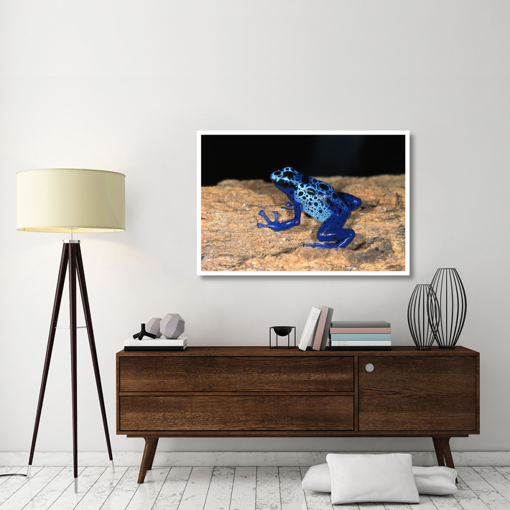 Blue Poison Dart Frog, very tiny poisonous frog, native to South America-Paper Art-50&quotx34"
