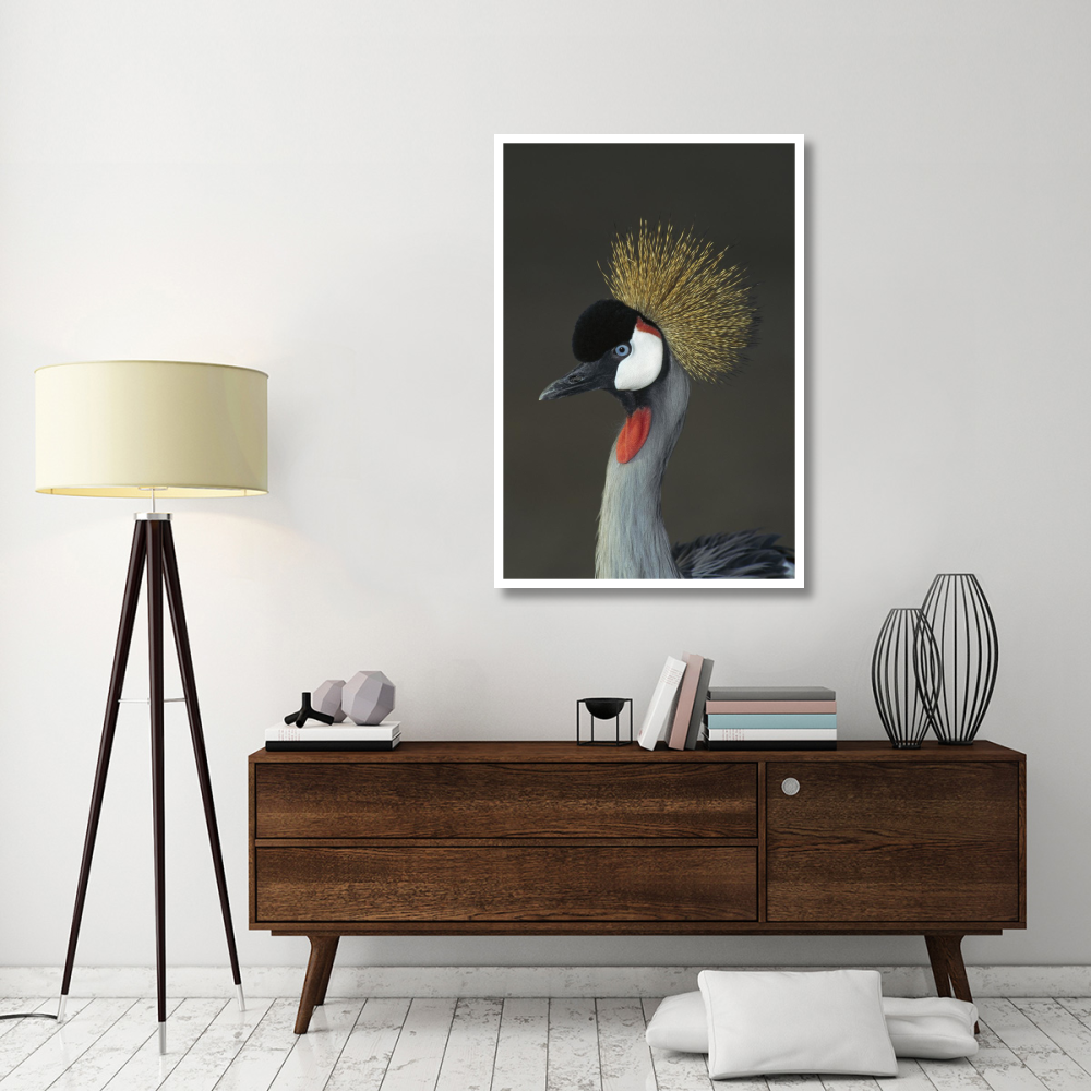 Grey Crowned Crane portrait, native to Africa-Paper Art-34&quotx50"