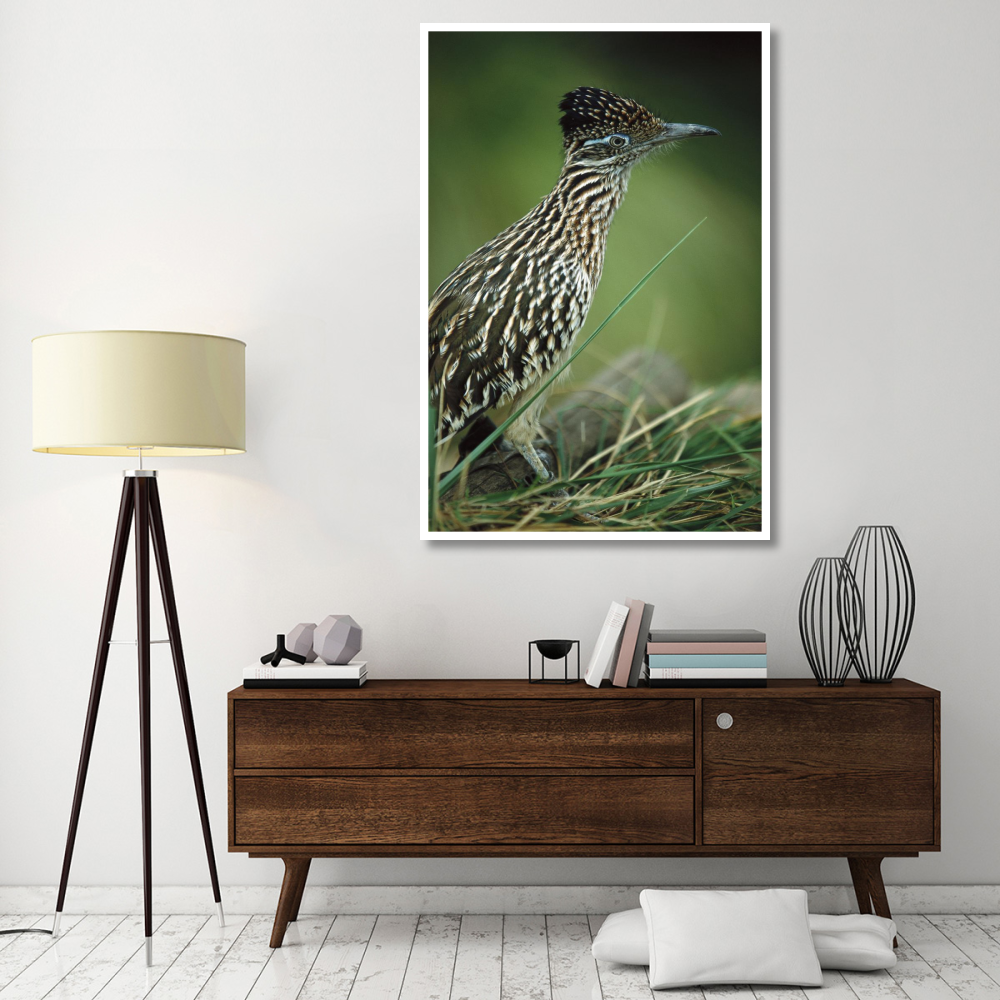 Greater Roadrunner portrait, native to arid southern United States-Paper Art-42&quotx62"