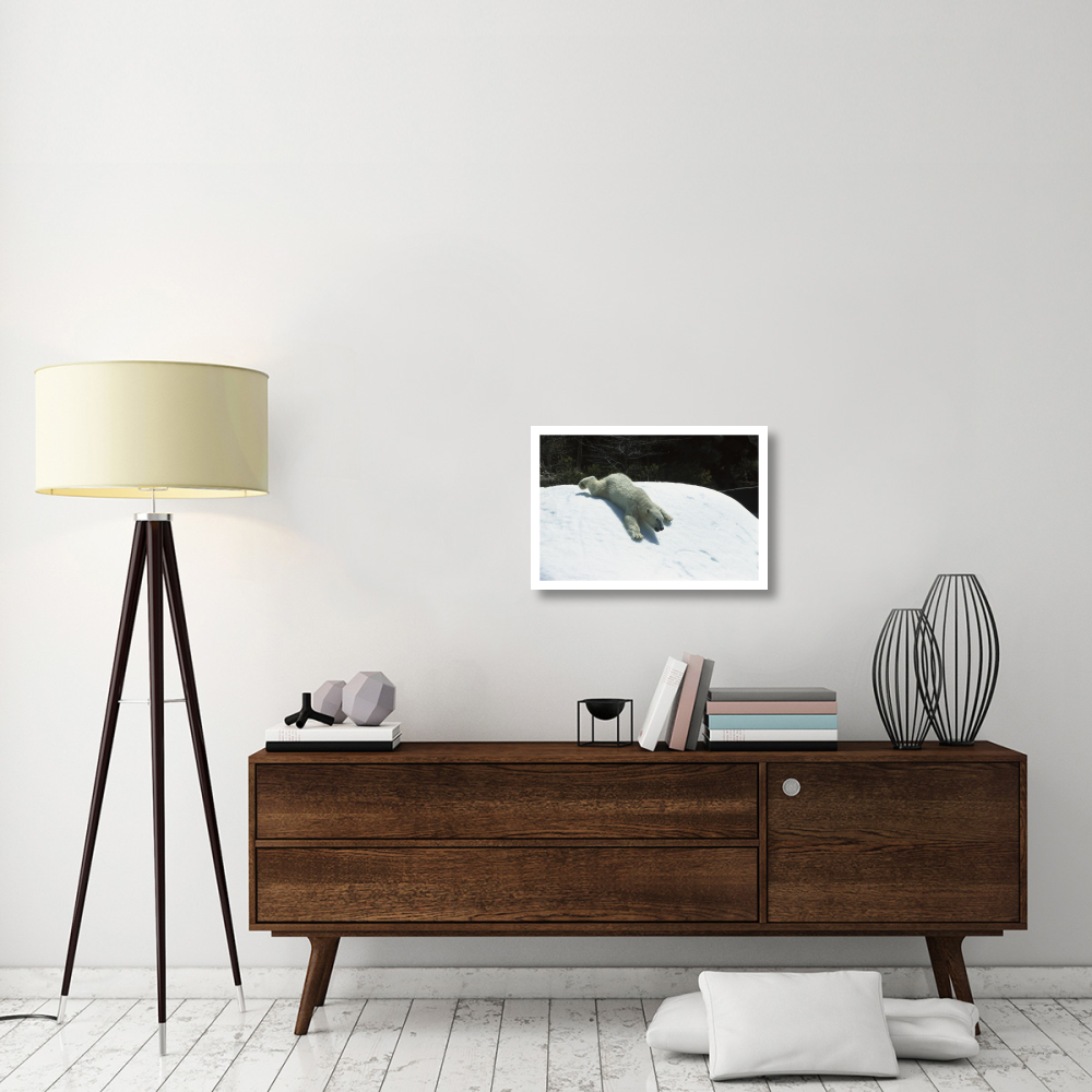 Polar Bear sliding down snow bank, native to Canada-Paper Art-26&quotx18"