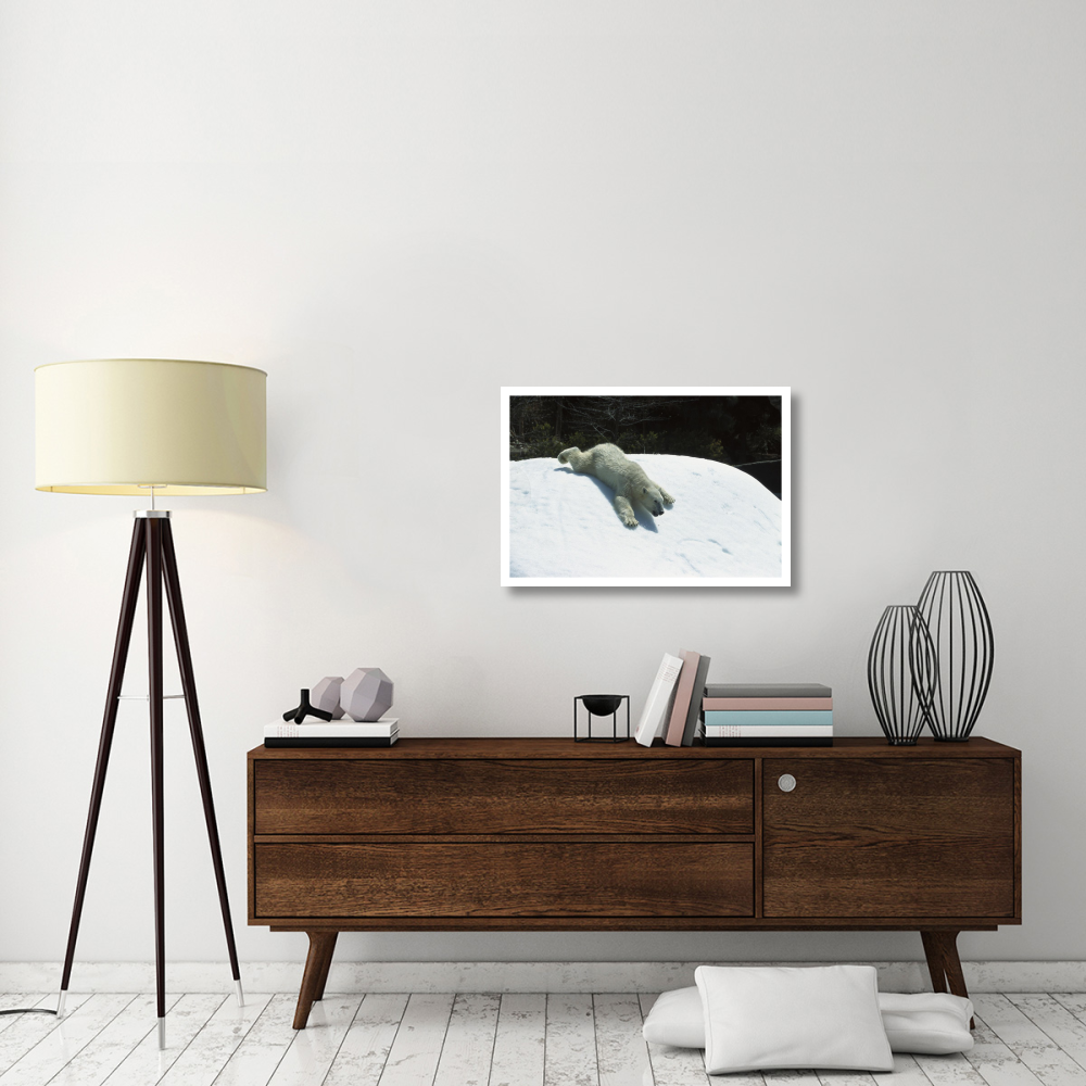 Polar Bear sliding down snow bank, native to Canada-Paper Art-32&quotx22"