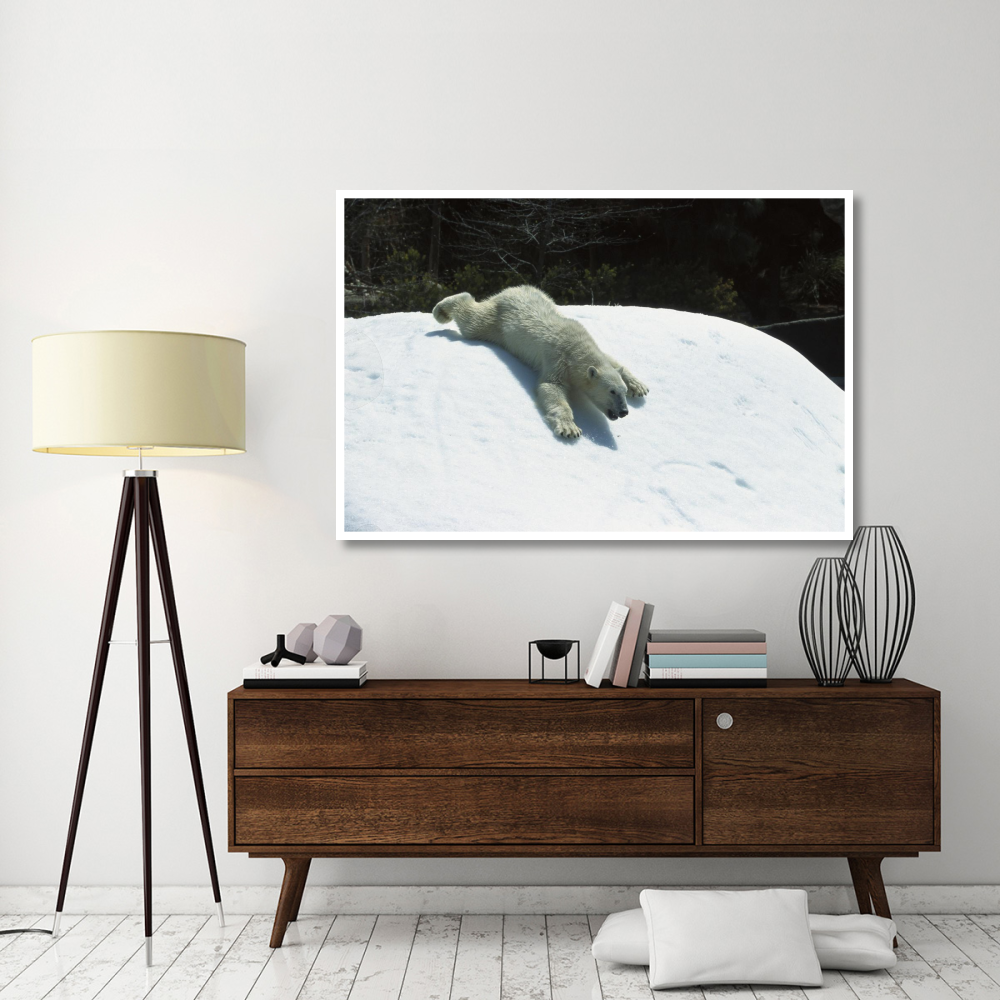 Polar Bear sliding down snow bank, native to Canada-Paper Art-62&quotx42"