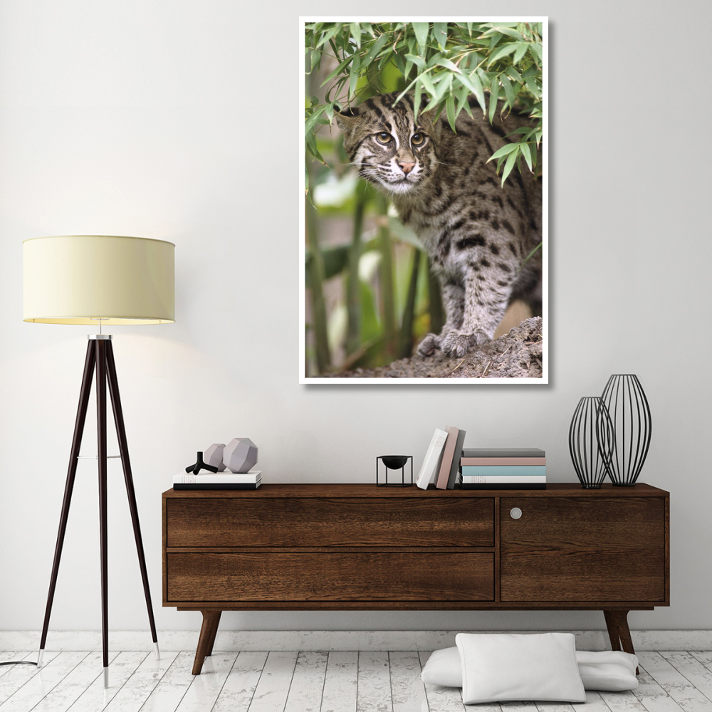 Fishing Cat portrait, native to Southeast Asia-Paper Art-42&quotx62"