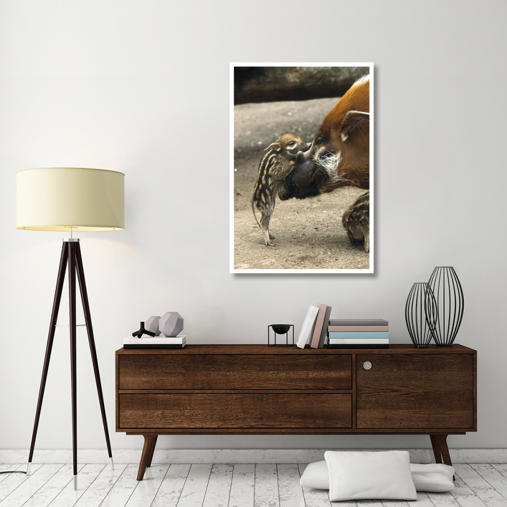 Red River Hog baby and mother interacting,  native to West Africa-Paper Art-34&quotx50"