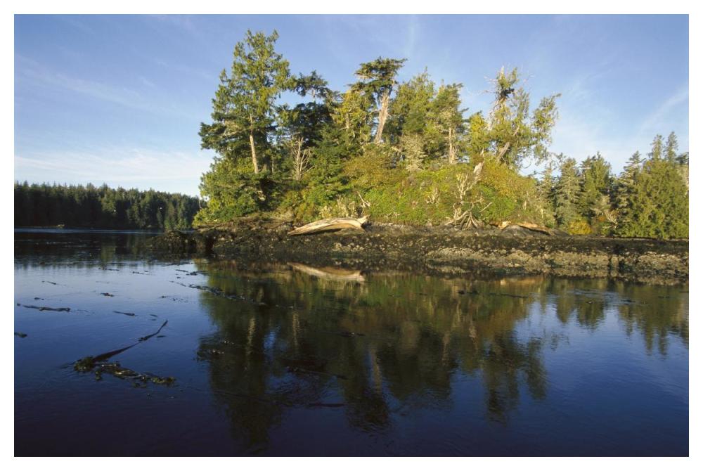 Clayoquot Sound, Vancouver Island, British Columbia, Canada-Paper Art-50"x34"