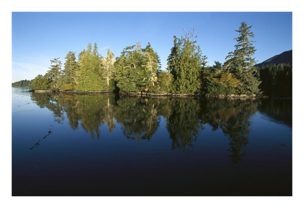 Clayoquot Sound, Vancouver Island, British Columbia, Canada-Paper Art-26"x18"