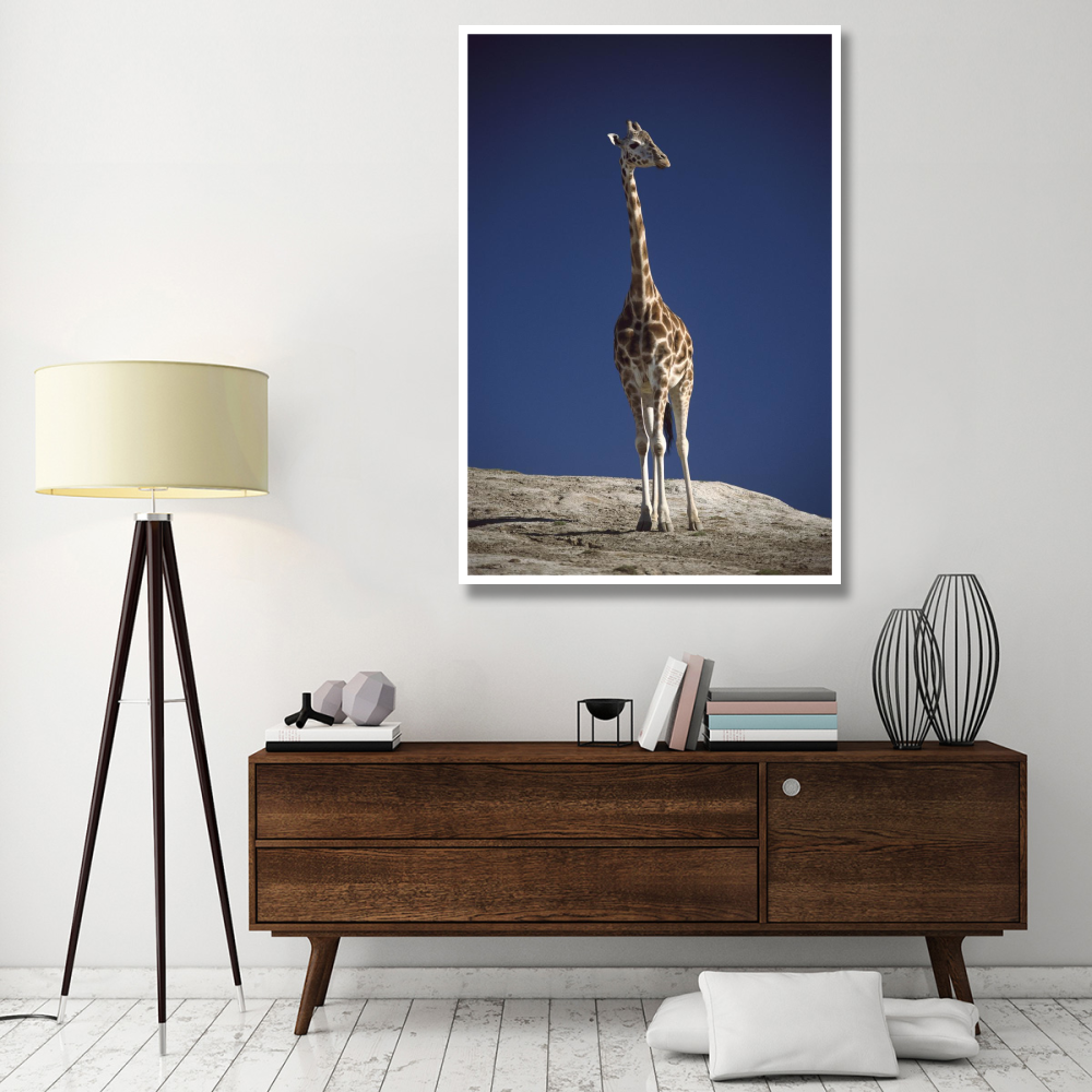 Rothschild Giraffe portrait, native to Africa south of the Sahara-Paper Art-42&quotx62"
