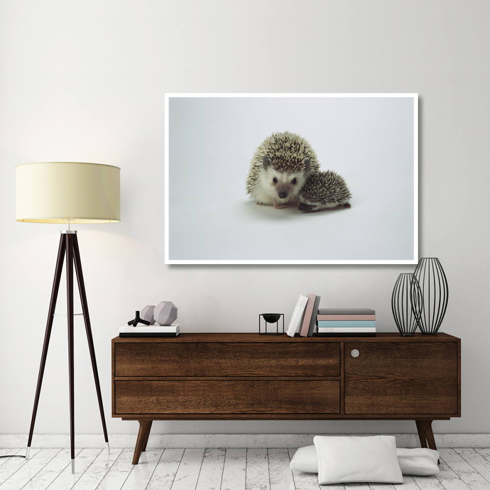 African Hedgehog mother and baby, native to Africa-Paper Art-62&quotx42"