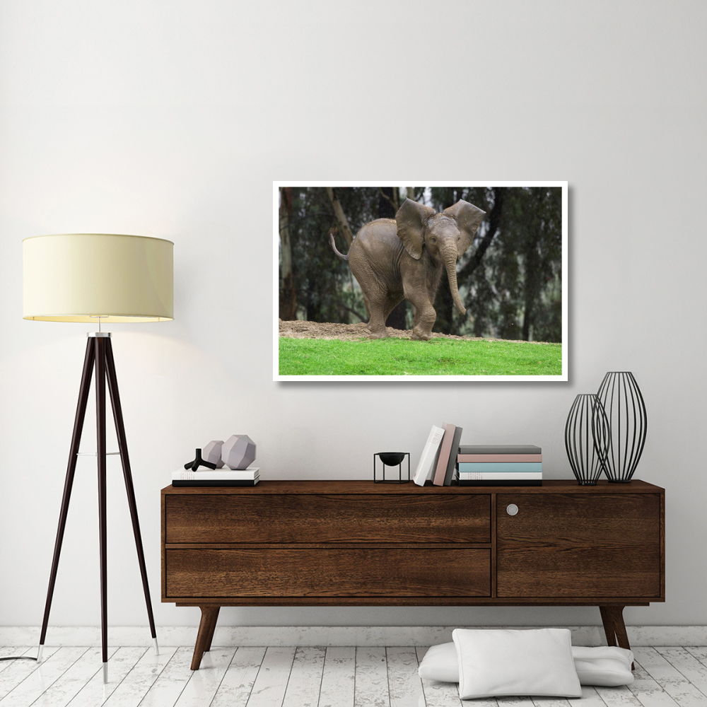 Playful African Elephant calf, native to Africa-Paper Art-50&quotx34"