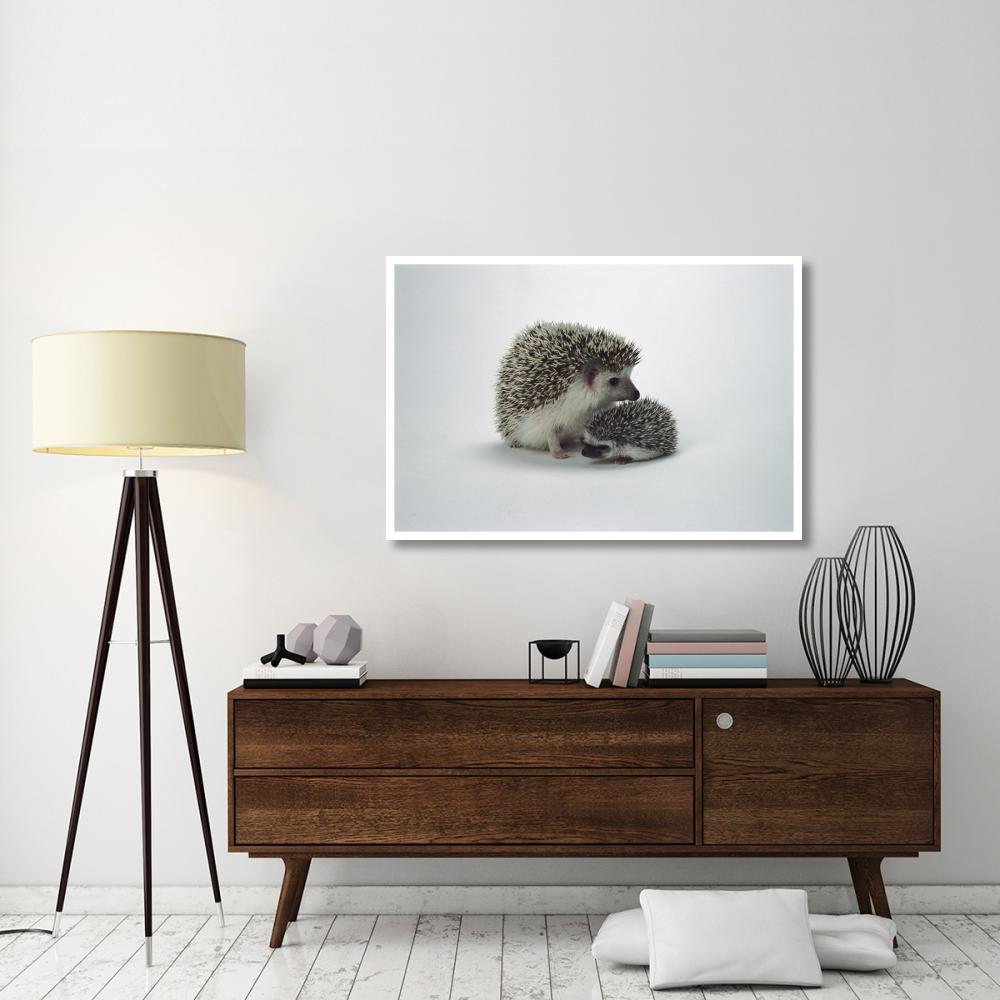 African Hedgehog baby and mother, native to Africa-Paper Art-50&quotx34"