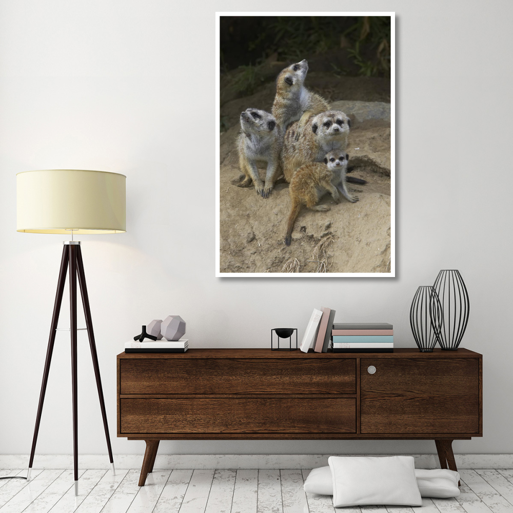 Meerkat group huddling together, native to Africa-Paper Art-42&quotx62"