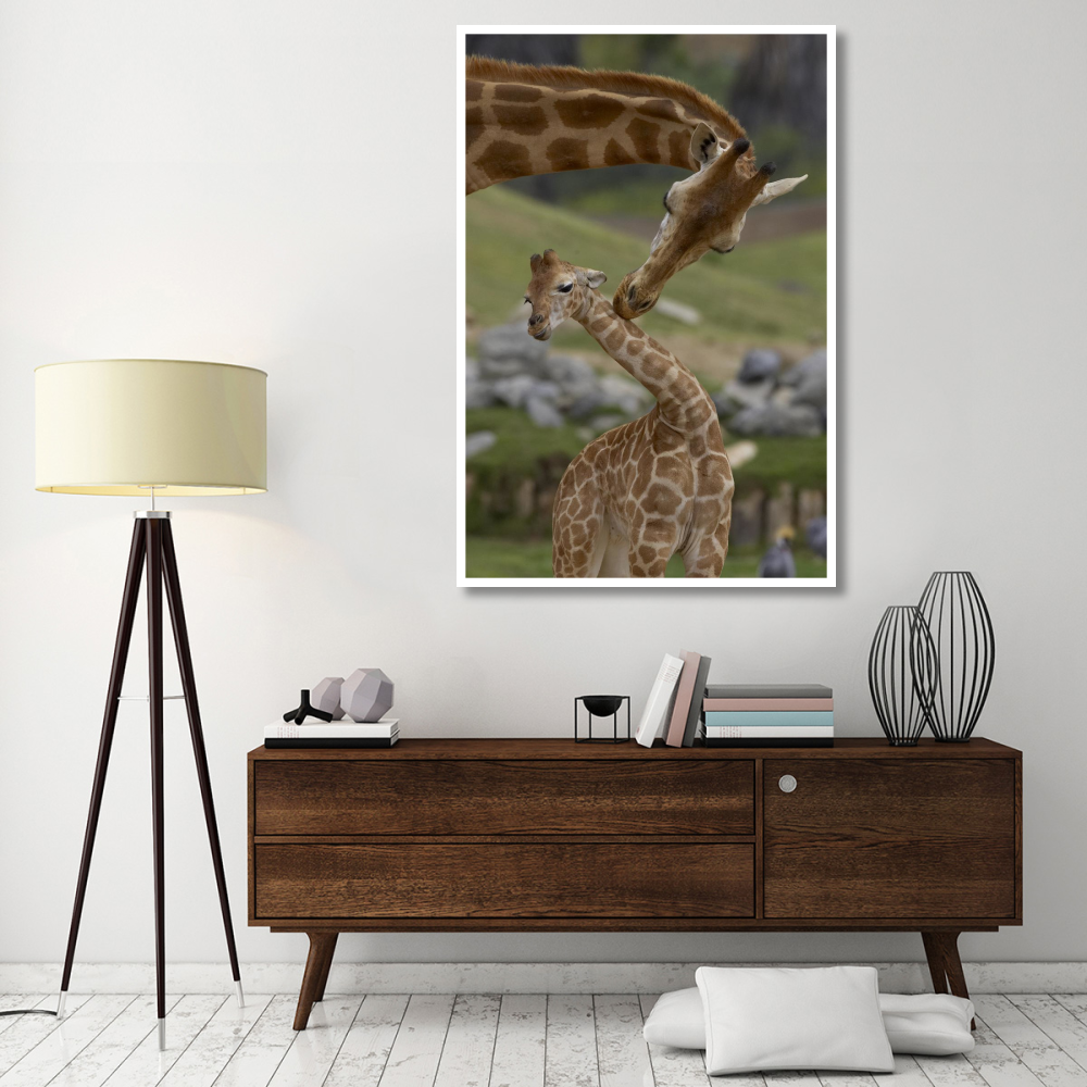Rothschild Giraffe mother nuzzling calf, native to Africa-Paper Art-42&quotx62"