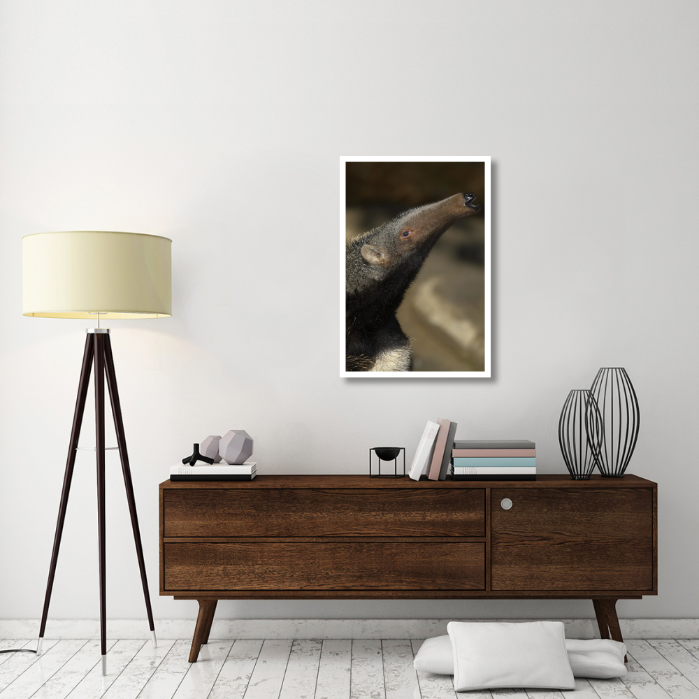 Giant Anteater profile, native to South America-Paper Art-26&quotx38"