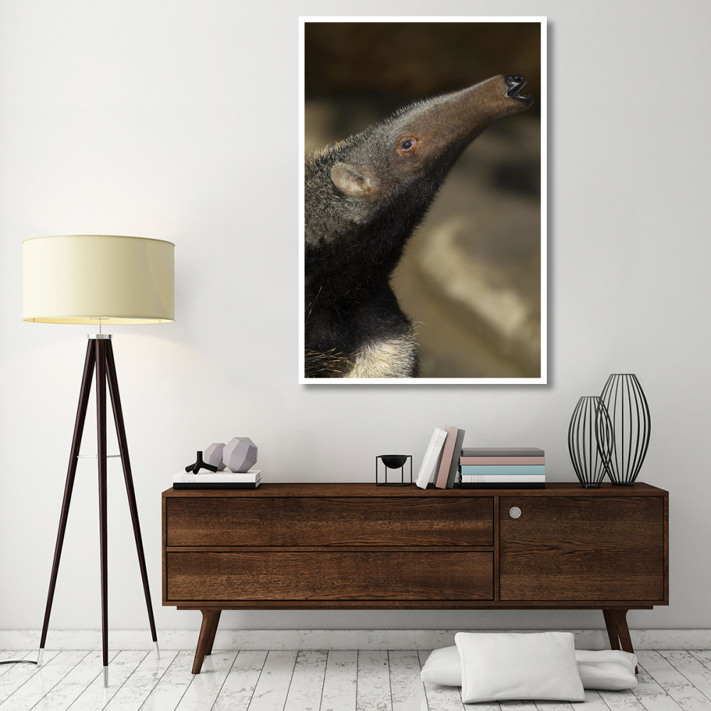 Giant Anteater profile, native to South America-Paper Art-42&quotx62"