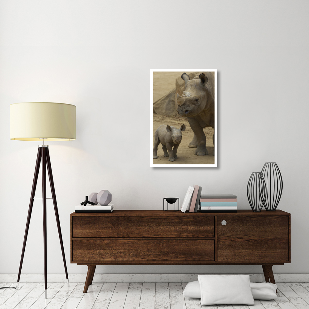 Black Rhinoceros mother and calf, native to Africa-Paper Art-26&quotx38"