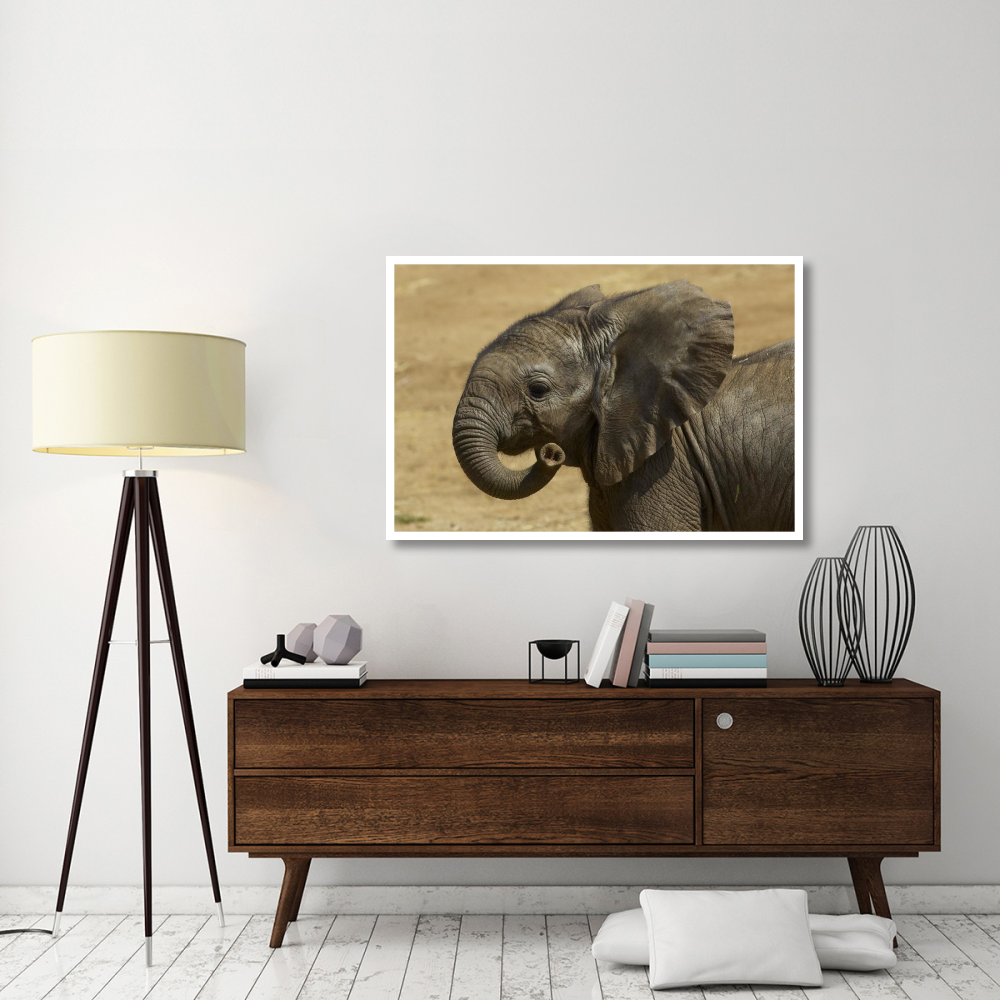 African Elephant calf portrait, native to Africa-Paper Art-50&quotx34"