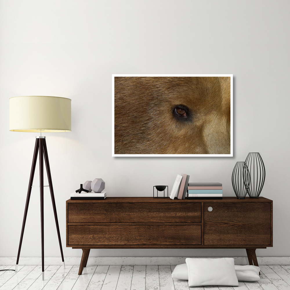 Grizzly Bear portrait, native to North America-Paper Art-50&quotx34"