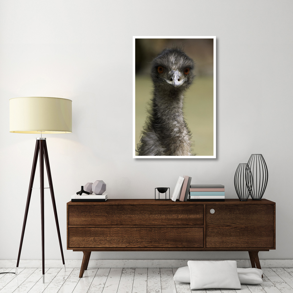 Emu portrait, native to Australia-Paper Art-34&quotx50"