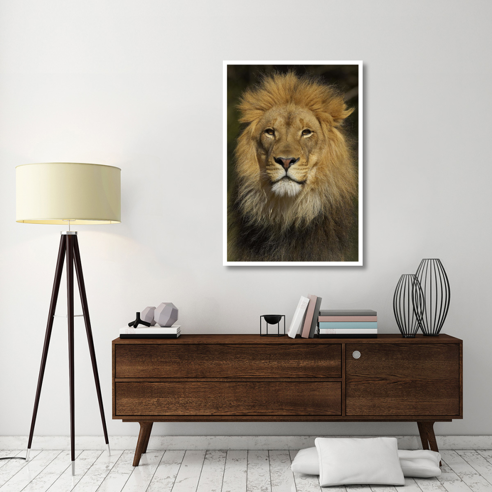African Lion male portrait, native to Africa-Paper Art-34&quotx50"