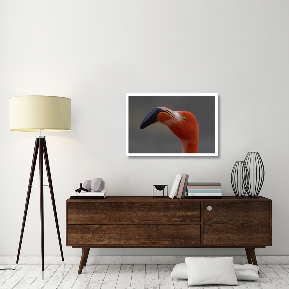 Greater Flamingo portrait-Paper Art-38&quotx26"