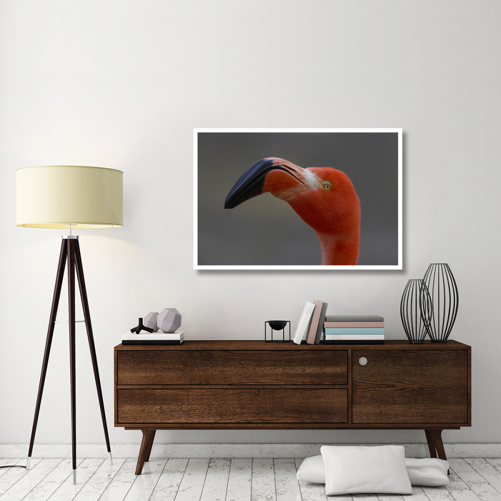 Greater Flamingo portrait-Paper Art-50&quotx34"