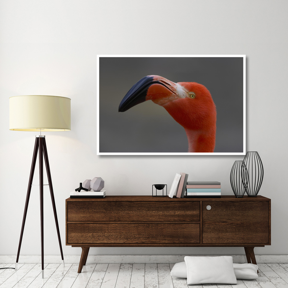 Greater Flamingo portrait-Paper Art-62&quotx42"