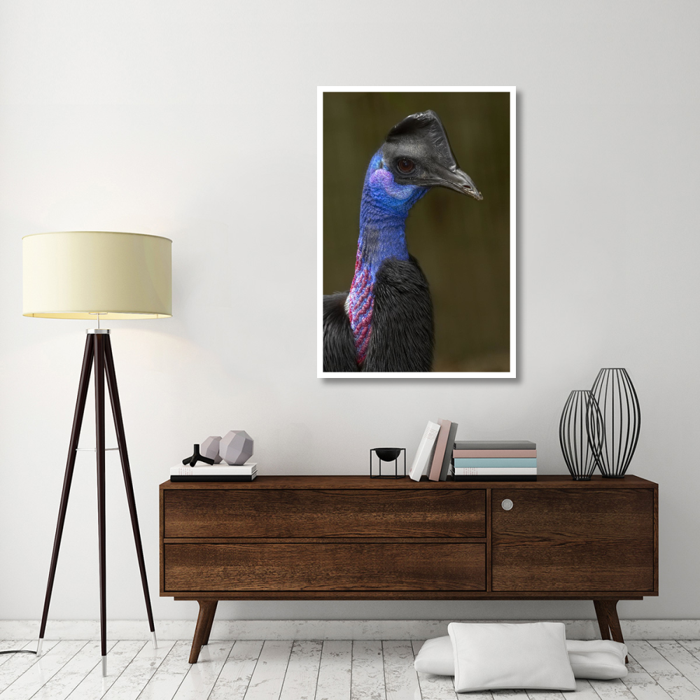 Dwarf Cassowary portrait, native to New Guinea-Paper Art-34&quotx50"