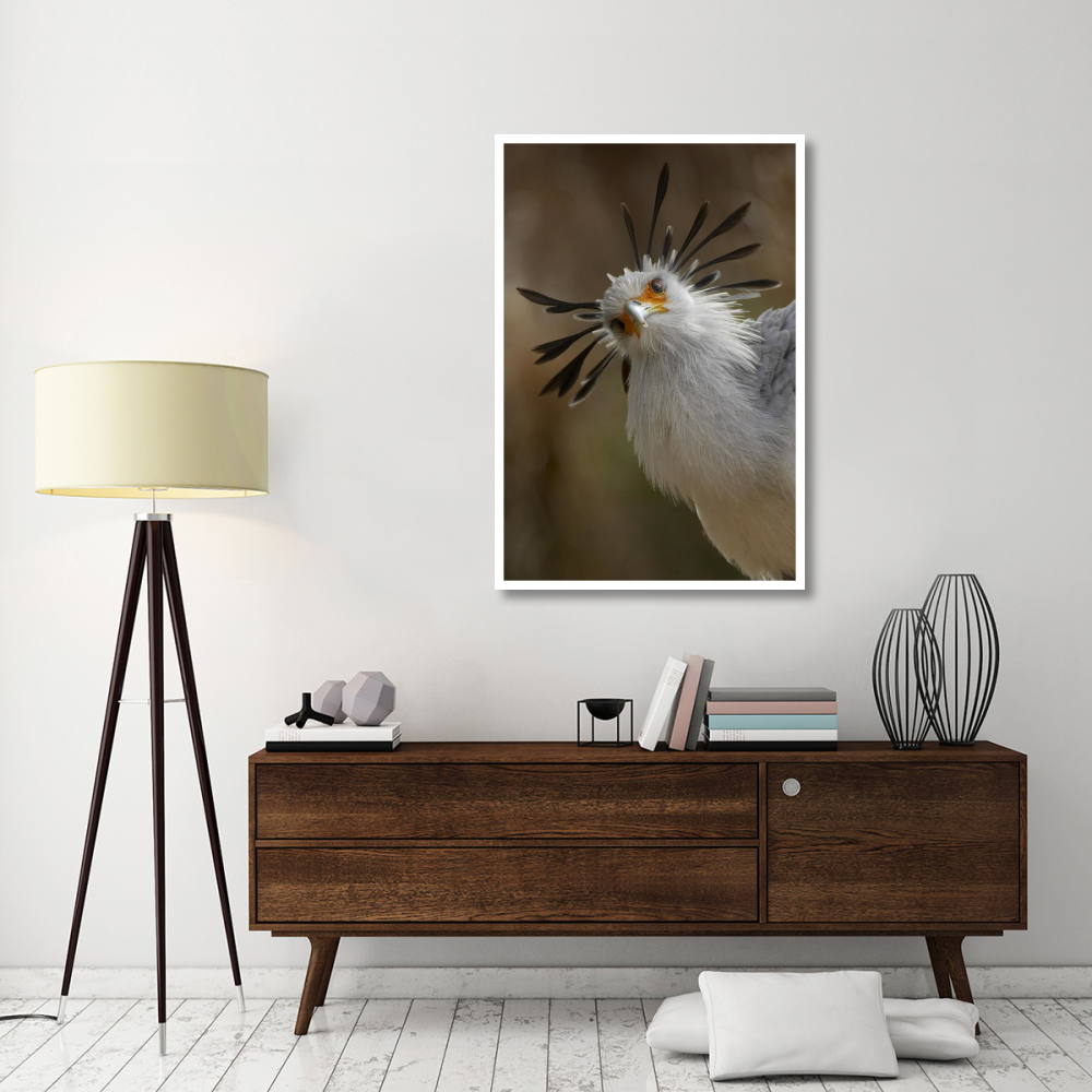 Secretary Bird portrait, native to Africa-Paper Art-34&quotx50"