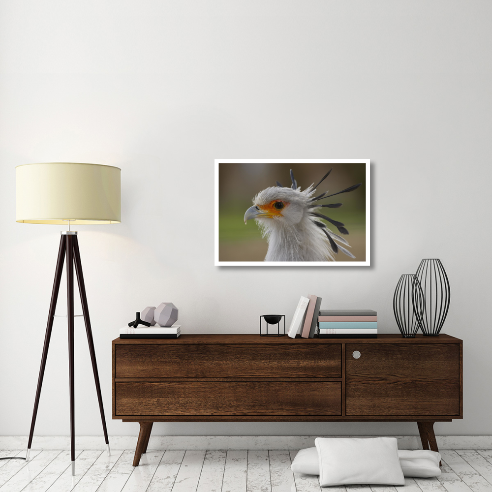 Secretary Bird portrait, native to Africa-Paper Art-38&quotx26"