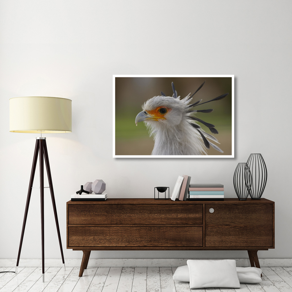 Secretary Bird portrait, native to Africa-Paper Art-50&quotx34"