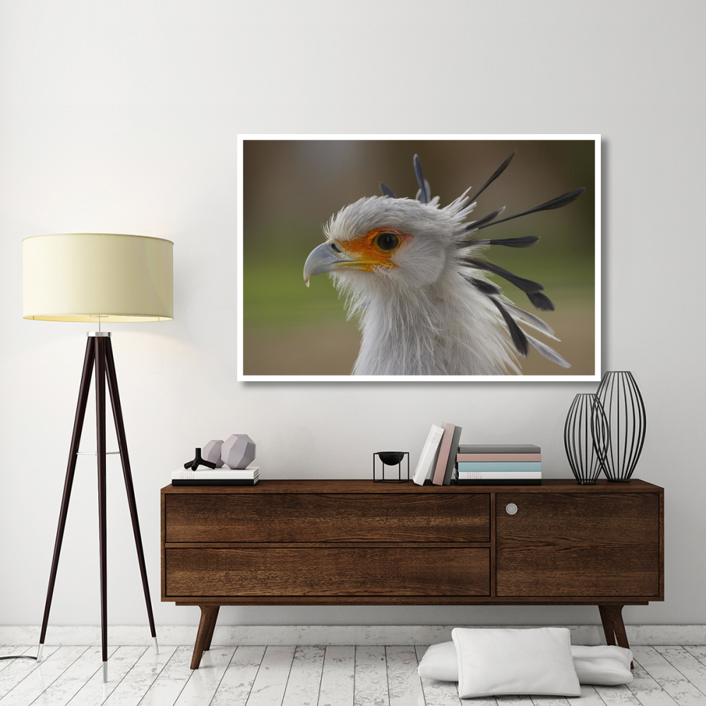 Secretary Bird portrait, native to Africa-Paper Art-62&quotx42"