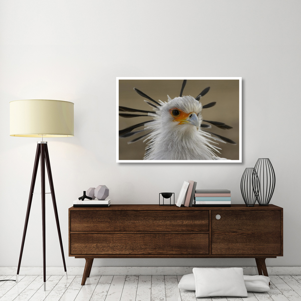 Secretary Bird portrait, native to Africa-Paper Art-50&quotx34"