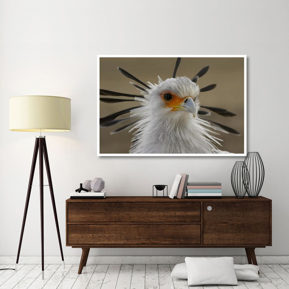 Secretary Bird portrait, native to Africa-Paper Art-62&quotx42"