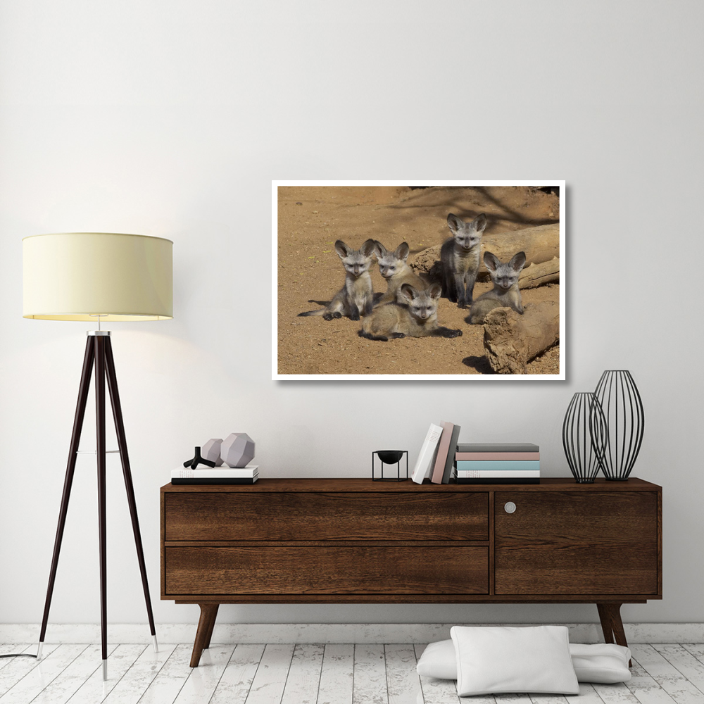 Bat-eared Fox group of five pups, native to Africa-Paper Art-50&quotx34"