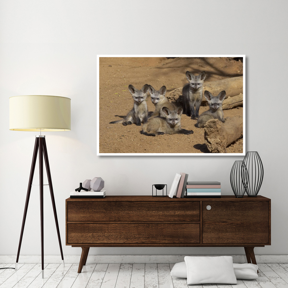 Bat-eared Fox group of five pups, native to Africa-Paper Art-62&quotx42"