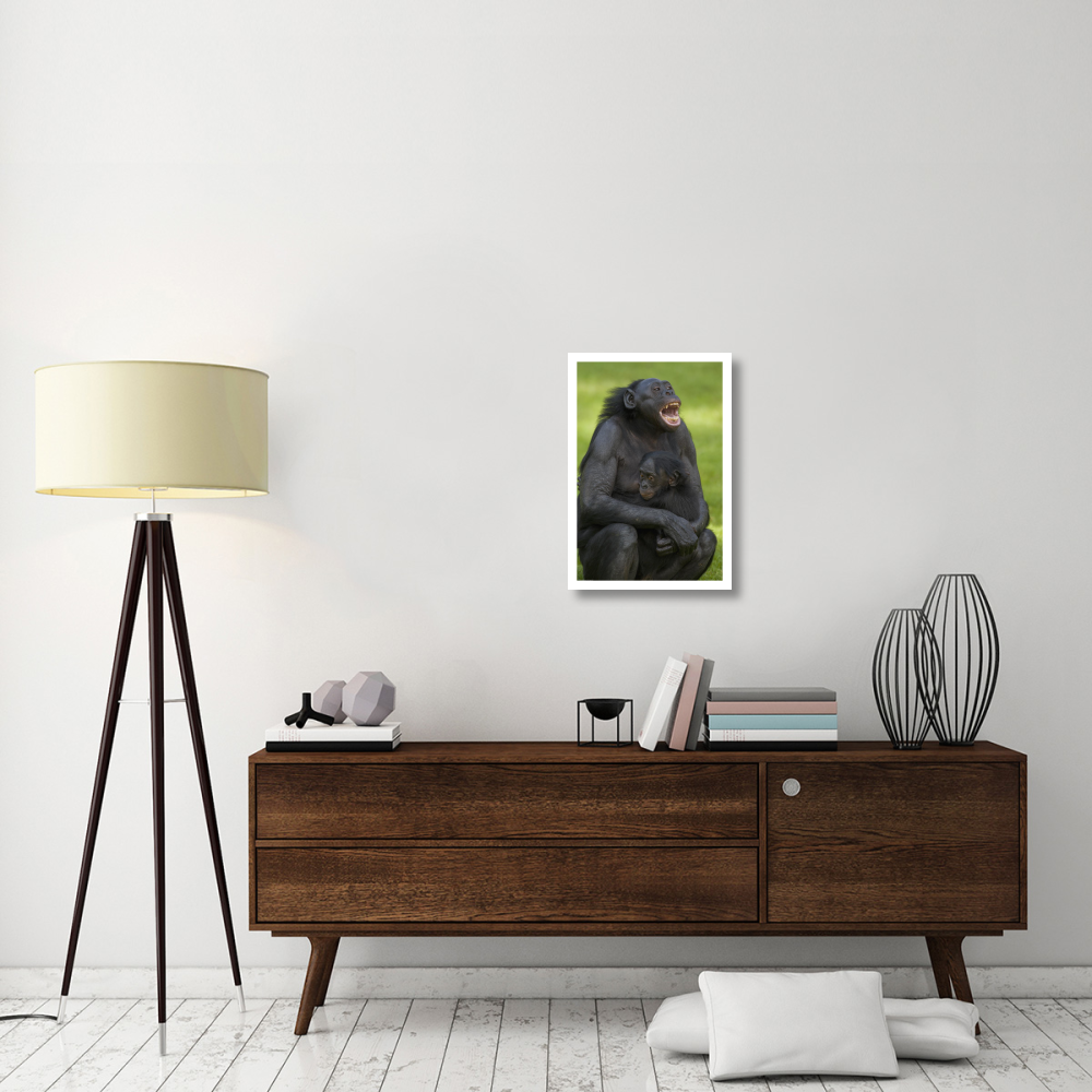 Bonobo mother and baby, native to Africa-Paper Art-18&quotx26"
