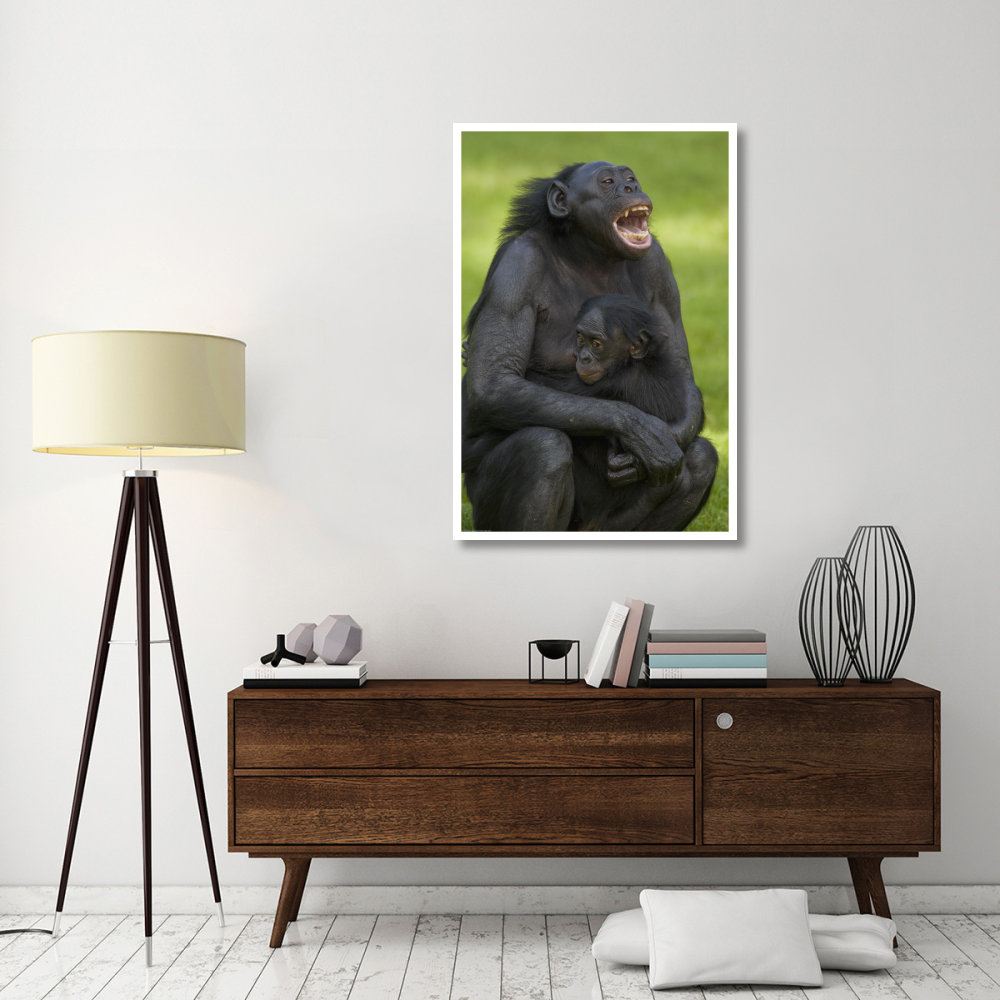 Bonobo mother and baby, native to Africa-Paper Art-34&quotx50"