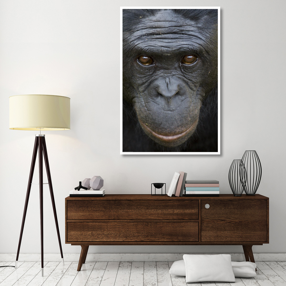 Bonobo portrait, native to Africa-Paper Art-42&quotx62"