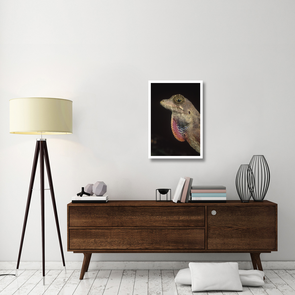 Anolis Lizard portrait, Peru-Paper Art-22&quotx32"