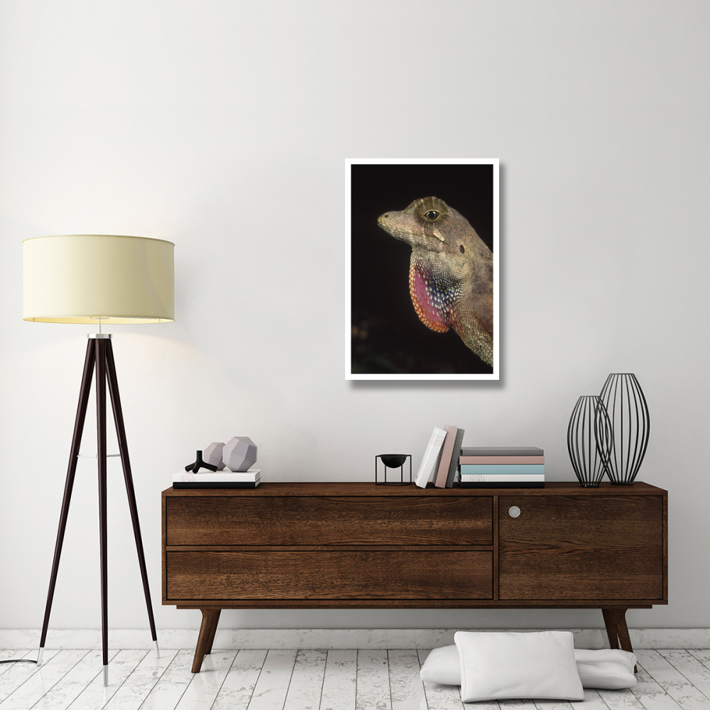 Anolis Lizard portrait, Peru-Paper Art-26&quotx38"
