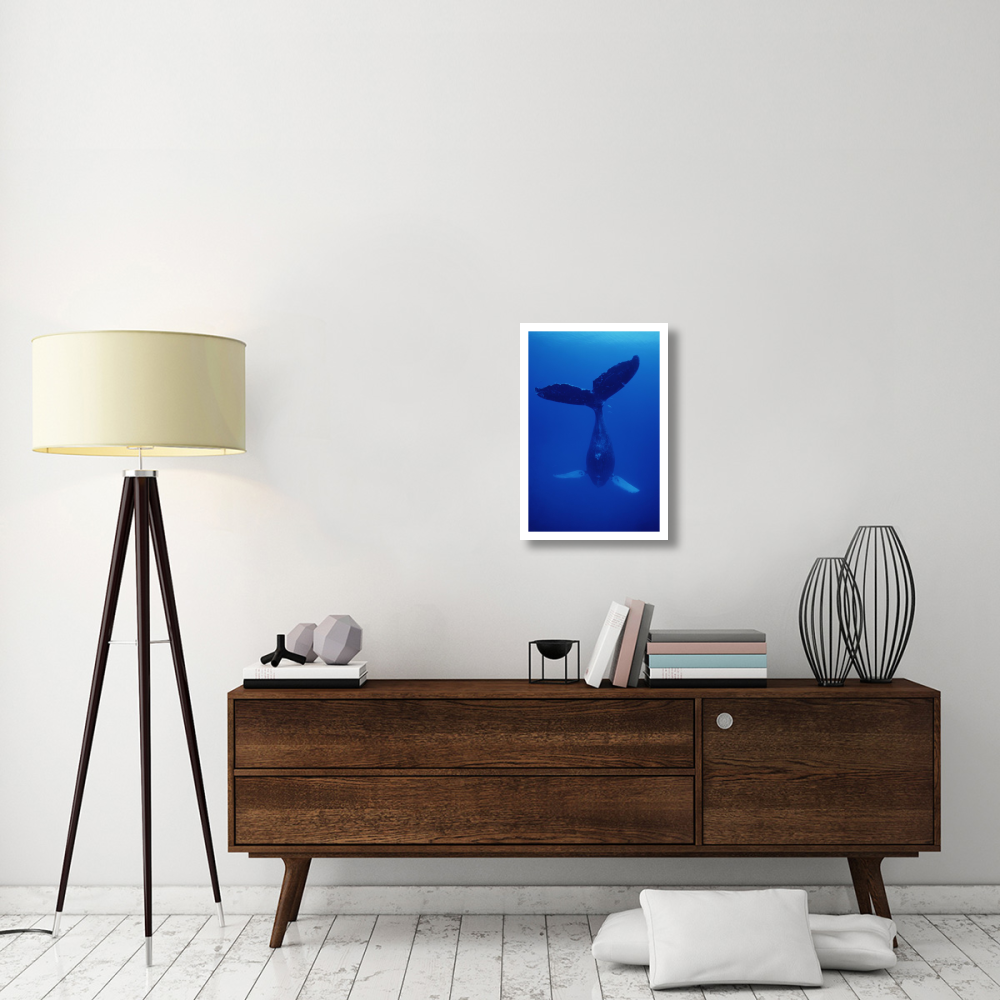 Humpback Whale singer called Frank, Maui, Hawaii-Paper Art-18&quotx26"
