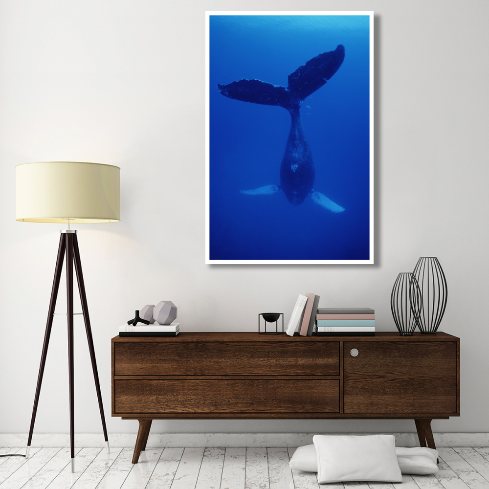 Humpback Whale singer called Frank, Maui, Hawaii-Paper Art-42&quotx62"