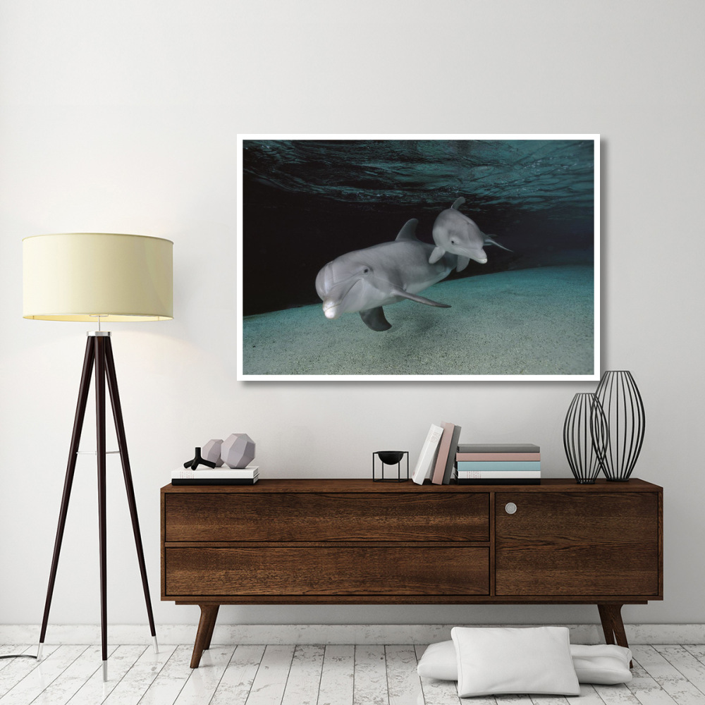 Bottlenose Dolphin mother and baby swimming underwater-Paper Art-62&quotx42"