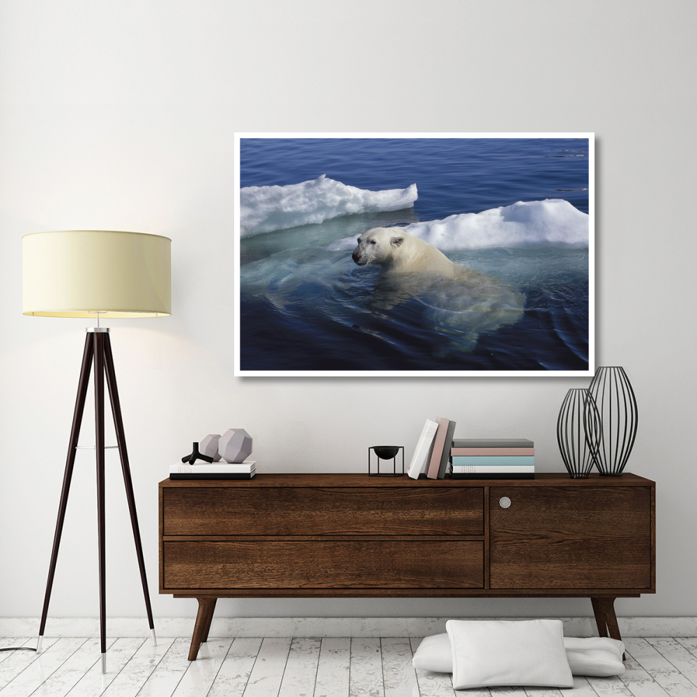 Polar Bear swimming, Wager Bay, Canada-Paper Art-62&quotx42"