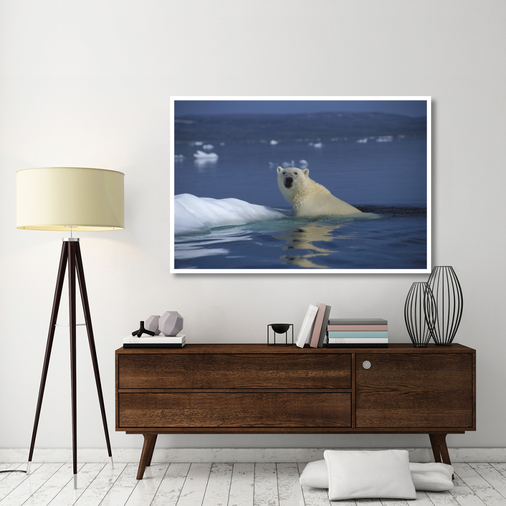 Polar Bear swimming, Wager Bay, Canada-Paper Art-62&quotx42"