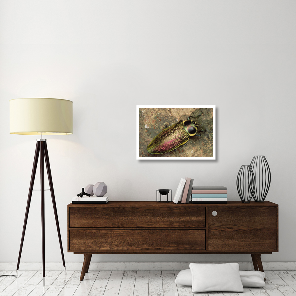 Metallic Wood-boring Beetle-Paper Art-32&quotx22"