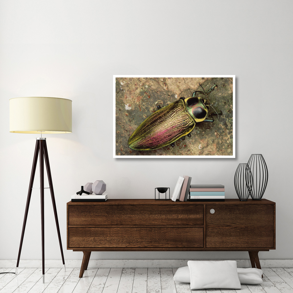 Metallic Wood-boring Beetle-Paper Art-50&quotx34"
