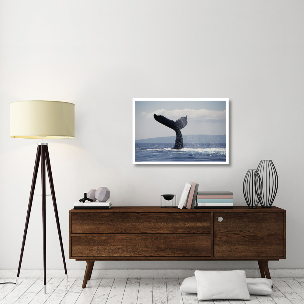 Humpback Whale tail lobs, Maui, Hawaii-Paper Art-38&quotx26"